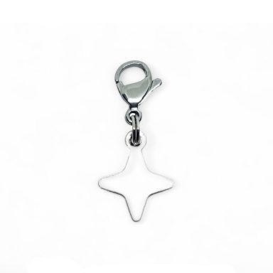 Star Clip On Charm